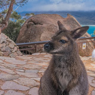 Hobart: Wineglass Bay & Freycinet National Park Via Richmond