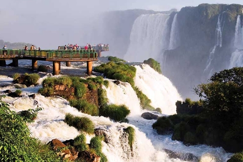 Puerto Iguazu: Brazylijska strona wodospadu Iguaza i wycieczka do parku ptakówWycieczka z odbiorem z hotelu w Puerto Iguazú
