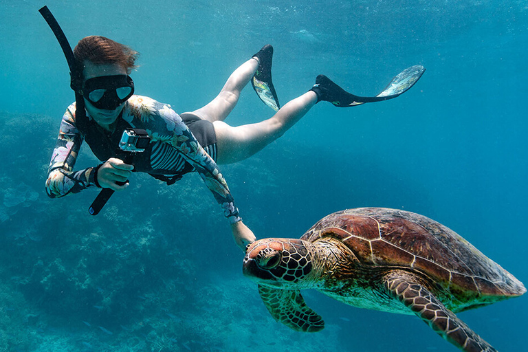 Muscat: 2 uur durende snorkeltocht