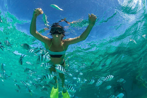 Muscat: 2 uur durende snorkeltocht