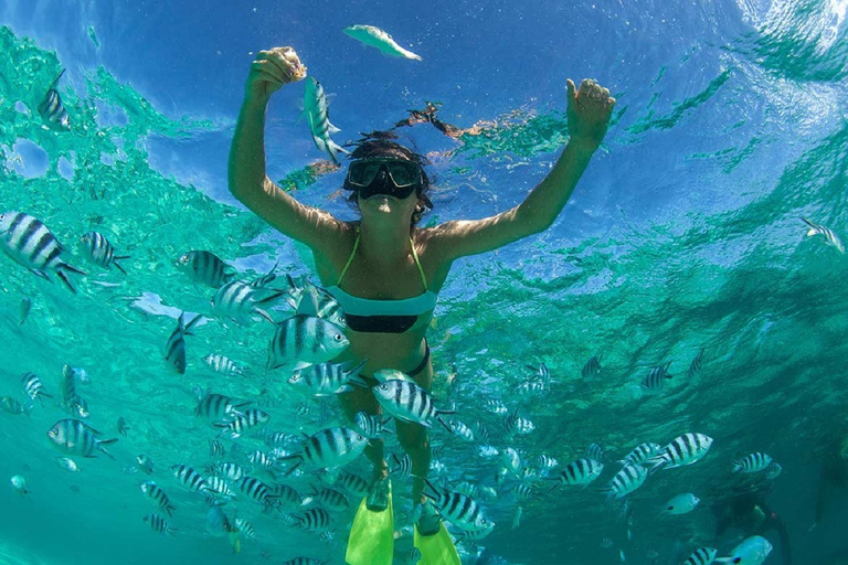 Muscat: 2 uur durende snorkeltocht