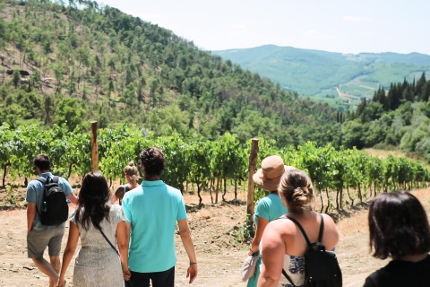 Cata de auténticos vinos Chianti desde FlorenciaCata de vino en inglés