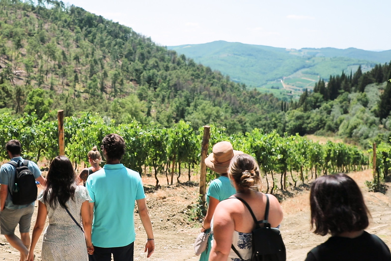 Cata de auténticos vinos Chianti desde FlorenciaCata de vino en inglés