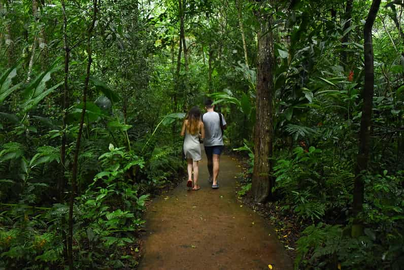 Puerto Iguazu Iguaza Falls Brazilian Side And Bird Park Tour Getyourguide