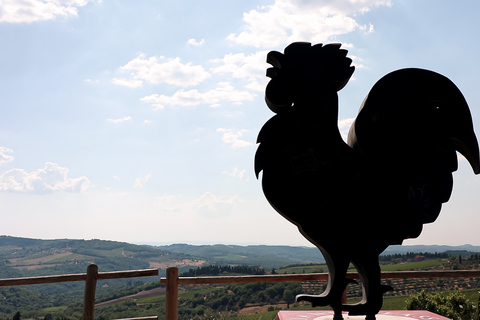 Da Firenze: Tour del vino Chianti con degustazioniTour pomeridiano con degustazione di vini in spagnolo