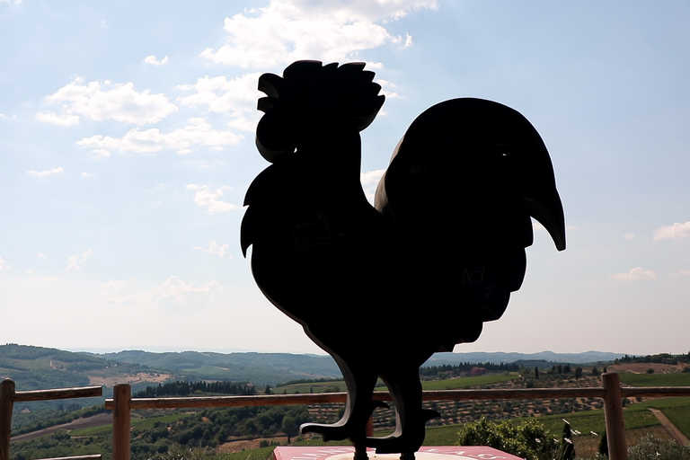 Depuis Florence : dégustation authentique de vins du ChiantiDégustation de vin en espagnol