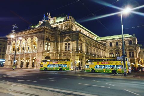 Vienna: Panoramic Night Tour by Bus