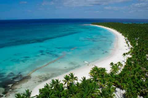 punta cana saona island day trip and optional lobster lunch