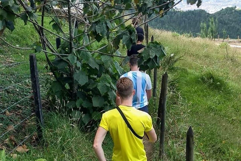 Medellín: tour privato sulla via della fuga di Pablo EscobarMedellín: tour privato sulla rotta di fuga di Pablo Escobar