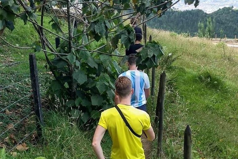 Medellín: tour privato sulla via della fuga di Pablo EscobarMedellín: tour privato sulla rotta di fuga di Pablo Escobar