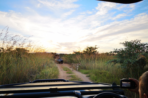 From Durban: Wildlife Lovers Big 5 Safari at 2 Game Reserves