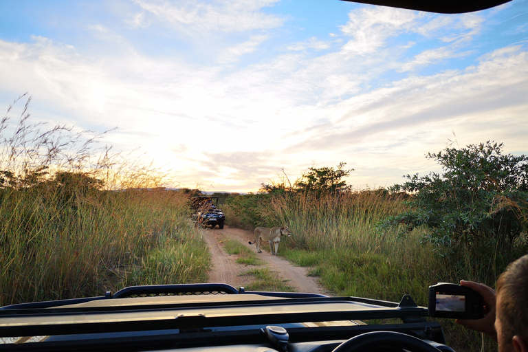 Van Durban: Wildlife Lovers Big 5 Safari in 2 wildreservatenVanuit Durban: Wildlife liefhebbers Big 5 safari in 2 wildreservaten