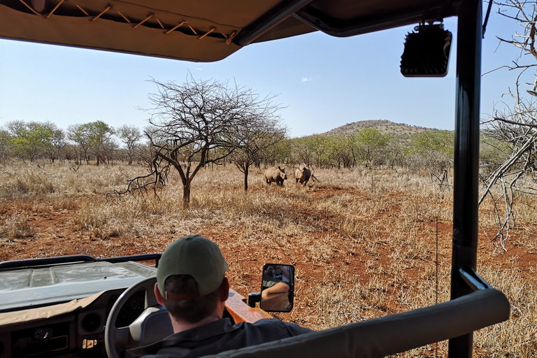 From Durban: Wildlife Lovers Big 5 Safari at 2 Game Reserves