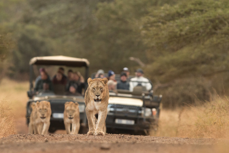 From Durban: Wildlife Lovers Big 5 Safari at 2 Game Reserves