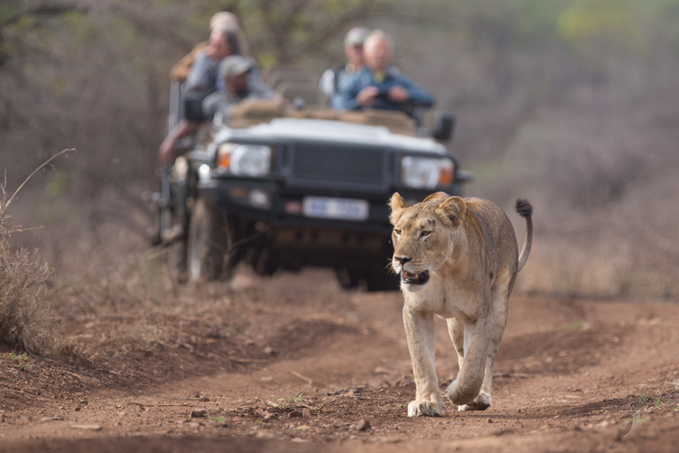 From Durban: Wildlife Lovers Big 5 Safari at 2 Game Reserves