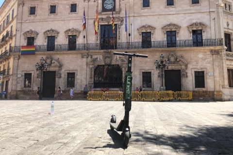 Mallorca: premium e-scooterverhuur met bezorgoptieStandaardoptie
