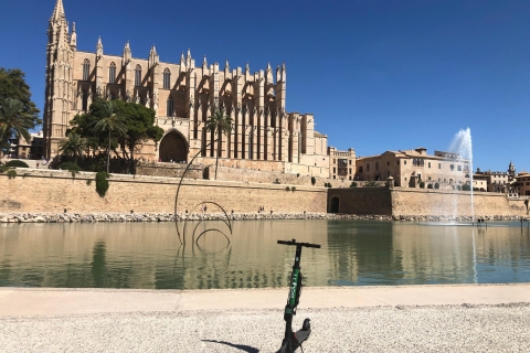 Mallorca: Alquiler de scooter eléctrico premium con opción de entregaE-Scooter Mallorca: alquiler de 5 días