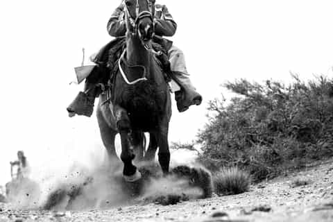 Mendoza: Horseback Riding in the Andes with Authentic BBQ