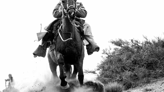 mendoza paseo en caballo por los andes con auténtica bbq