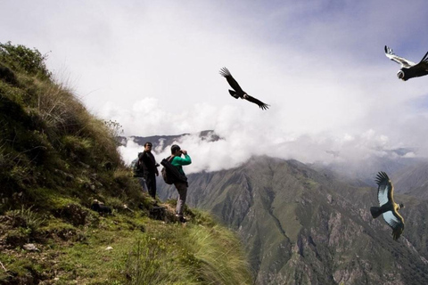 Chonta Viewpoint, Tarawasi &amp; Killarumiyoq Wycieczka prywatna