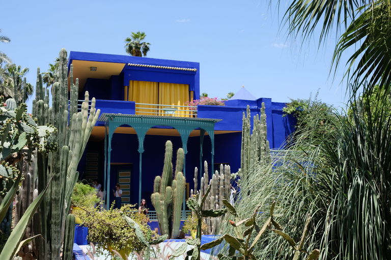 Majorelle Garden &amp; Menara Garden Tour &amp; Carriage RideMarrakech: Majorelle- och Menara-trädgårdarna: rundtur och vagnsresa