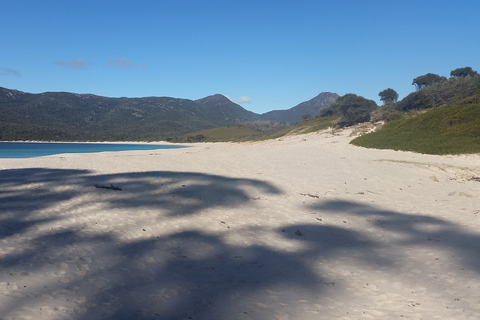 Hobart: Wineglass Bay Beach Iconic Hike