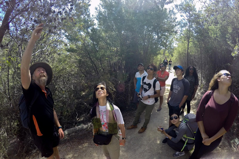 Hobart: Wineglass Bay Beach Iconic Hike