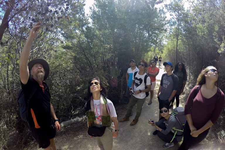Hobart: Wineglass Bay Beach Iconic Hike