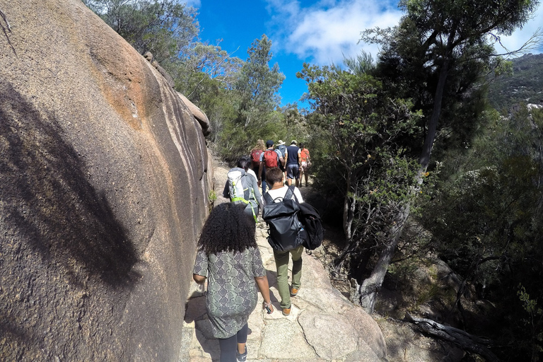 Hobart: Wineglass Bay Beach Iconic Hike