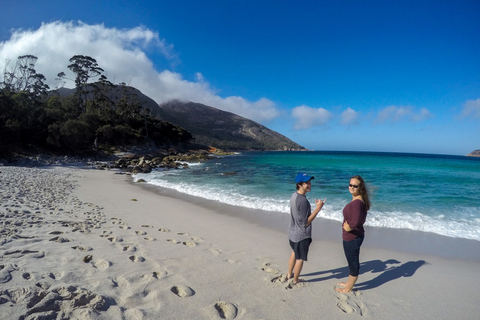 Hobart: Wineglass Bay Beach Iconic Hike