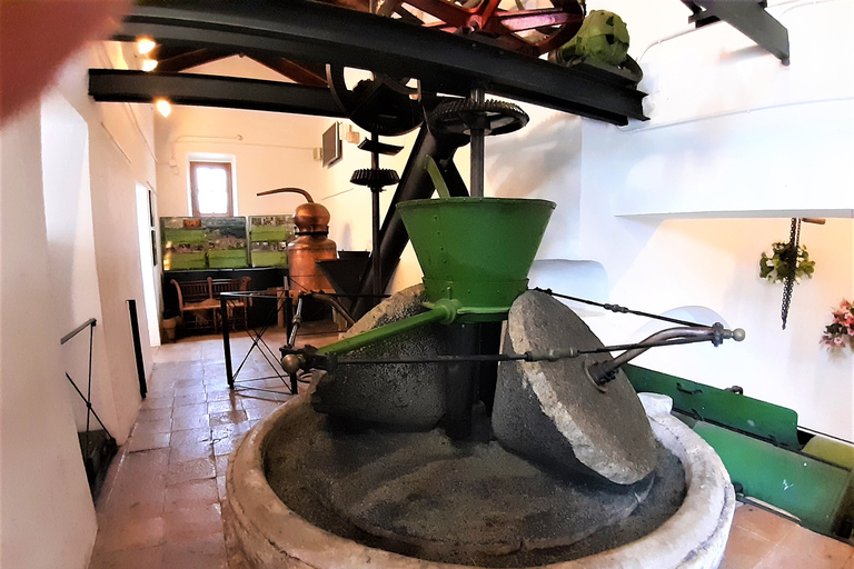 Costa del Sol: Private Tour to Ojen Ojen: Private Half-Day Tour from Marbella or Mijas