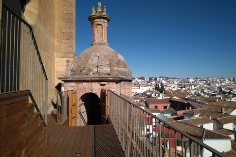 Ronda: Passeio a pé com vistas panorâmicastour privado