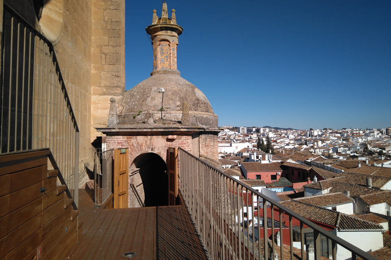 Ronda: recorrido turístico a pieTour privado