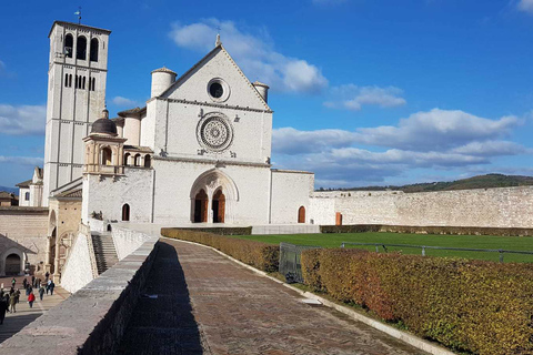 De Rome: Assise et Orvieto en petit groupePetit groupe en anglais