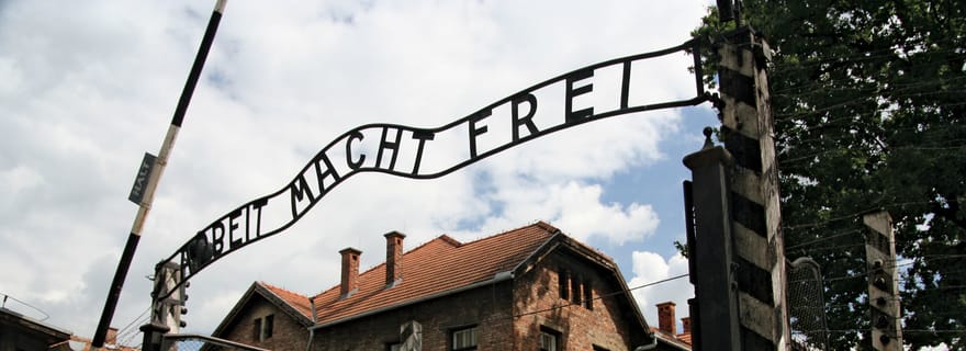 Da Katowice: tour guidato di Auschwitz-Birkenau con salto in linea