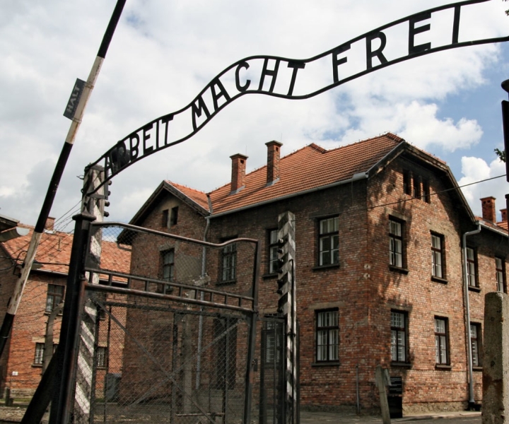 Da Katowice: tour guidato saltafila di Auschwitz-Birkenau