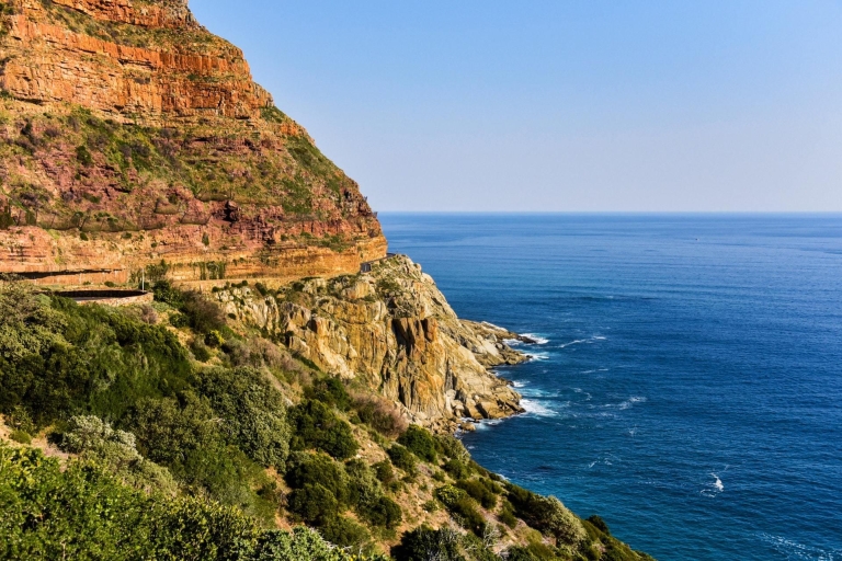 Desde Ciudad del Cabo: Punta del Cabo y Playa de Boulders