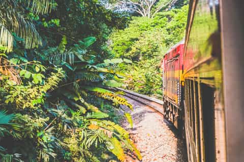 panama city panama canal railway and monkey island tour