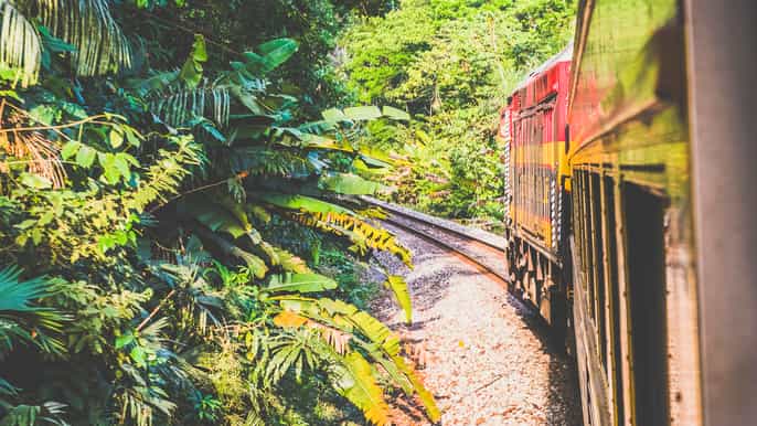 panama city panama canal railway and monkey island tour