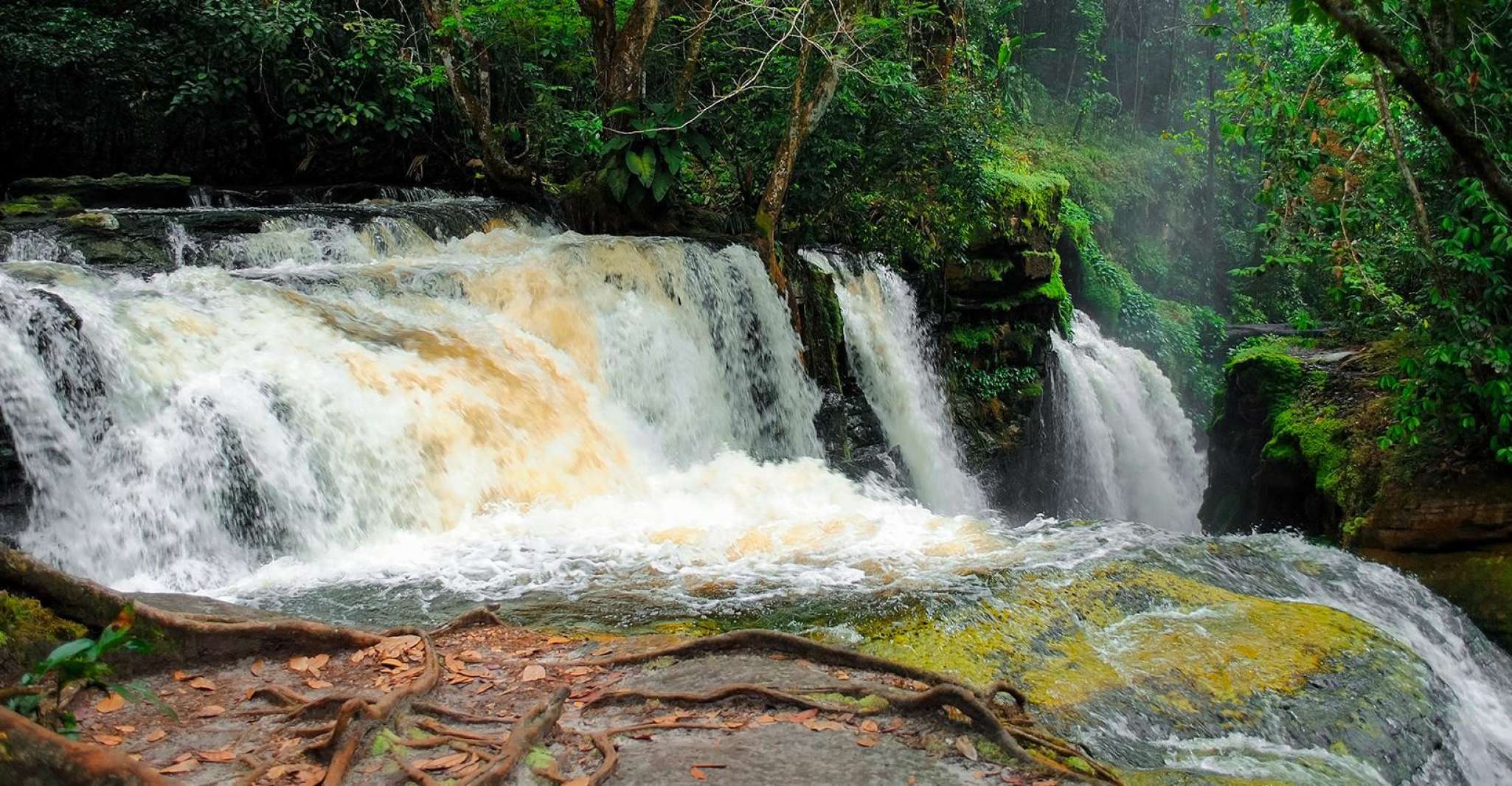 Manaus, Presidente Figueiredo Caves and Waterfalls Tour - Housity