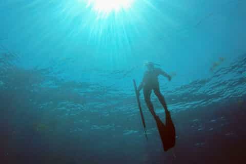 Playa del Carmen: Spearfishing and Snorkelling Lessons