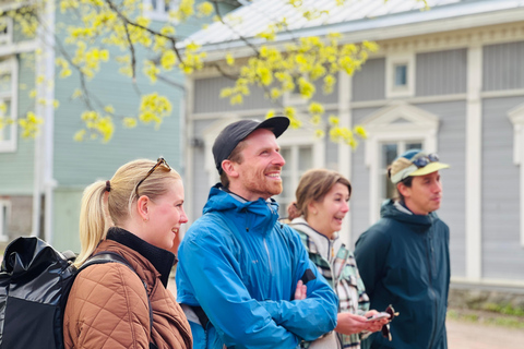Da Helsinki: Rovine del castello di Raasepori e centro storico di Ekenäs