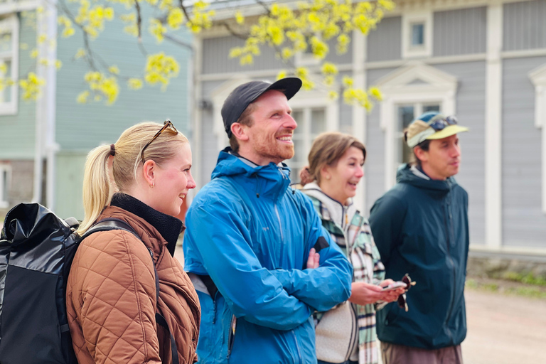 Da Helsinki: Rovine del castello di Raasepori e centro storico di Ekenäs