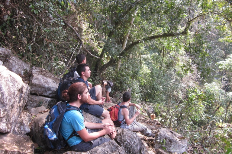Vang Vieng: Dżungla i jaskinie: całodniowa prywatna wycieczka trekkingowaVang Vieng: Całodniowa prywatna wycieczka trekkingowa po dżungli i jaskiniach