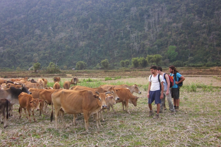 Vang Vieng: Excursión privada de senderismo de un día por la selva y las cuevasVang Vieng: Excursión privada de un día por la selva y las cuevas