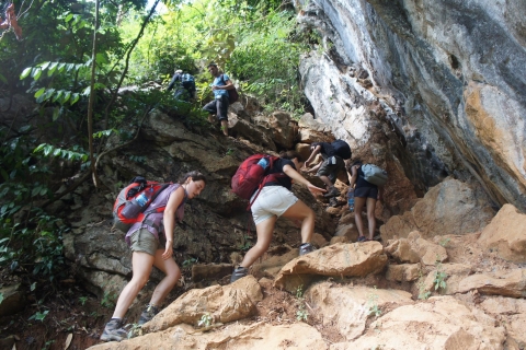 Vang Vieng: Excursión privada de senderismo de un día por la selva y las cuevasVang Vieng: Excursión privada de un día por la selva y las cuevas