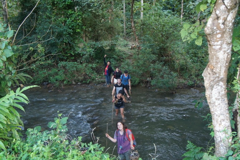 Vang Vieng: Dżungla i jaskinie: całodniowa prywatna wycieczka trekkingowaVang Vieng: Całodniowa prywatna wycieczka trekkingowa po dżungli i jaskiniach