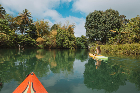 Port Vila: passeio de dia inteiro em caiaque no rio e cascatas