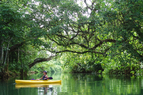 Port Vila: tour de día completo en kayak por el río y cascadas