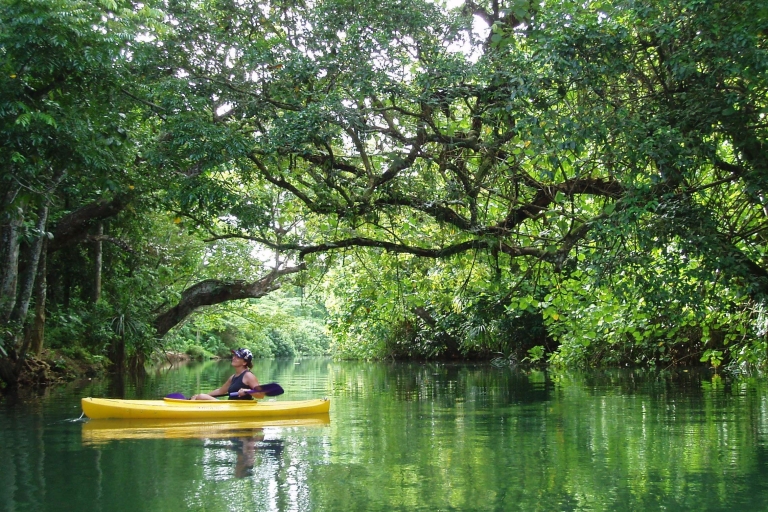 Port Vila: tour de día completo en kayak por el río y cascadas